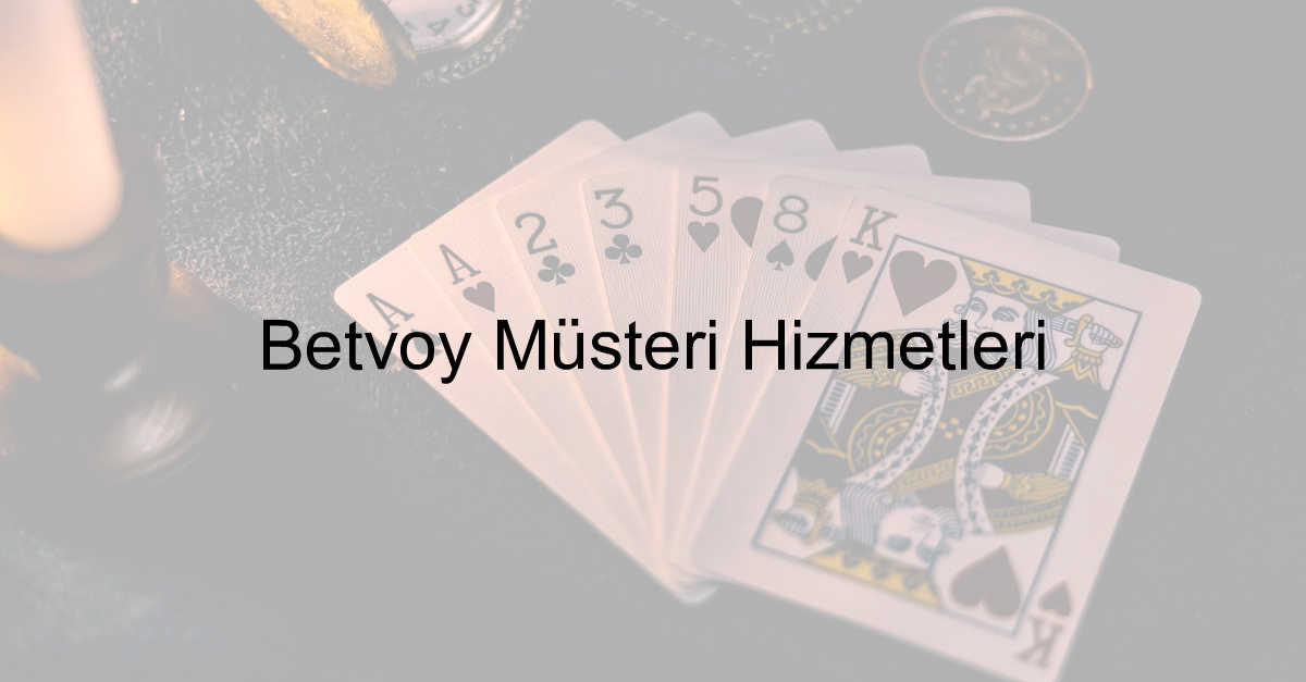 Betvoy müşteri hizmetleri